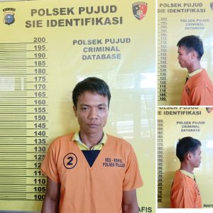 Curi 6 Janjang Buah Kelapa Sawit di Polisikan ke Polsek Pujud. AKBP Andrian Pramudianto: Tidak Di Tahan