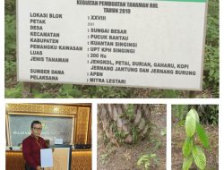Kejaksaan Tinggi Riau Diminta Mengusut Tuntas Kasus Proyek Abal-Abal, Program KLBK-RI Kuansing, Di Duga Hamburkan 40 M Uang Negara